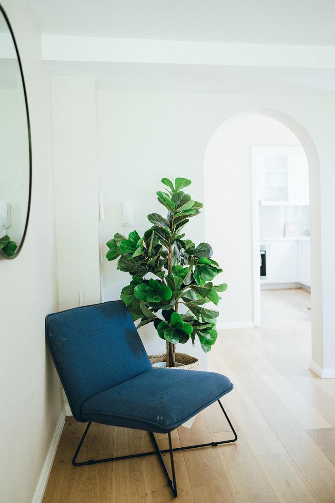 Apartment Leafy Oasis Steps To Ferry & Harbour