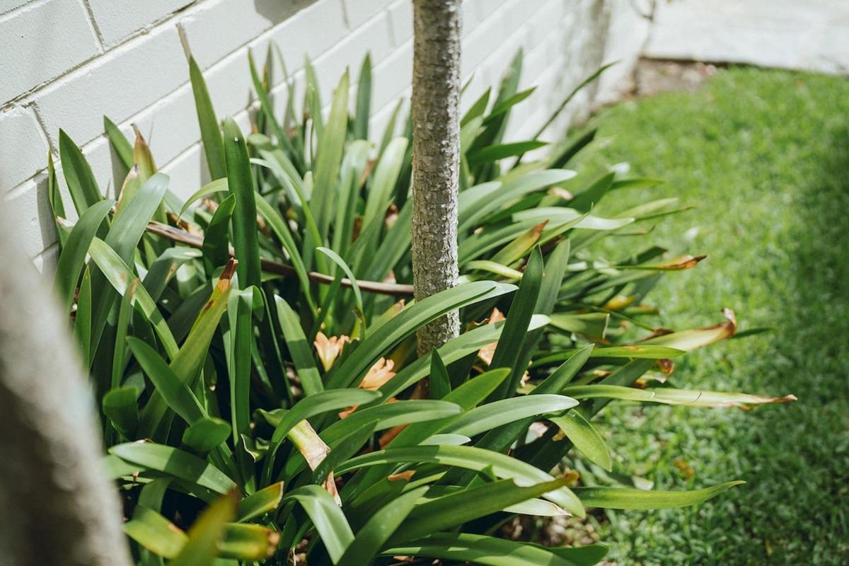 Apartment Leafy Oasis Steps To Ferry & Harbour *