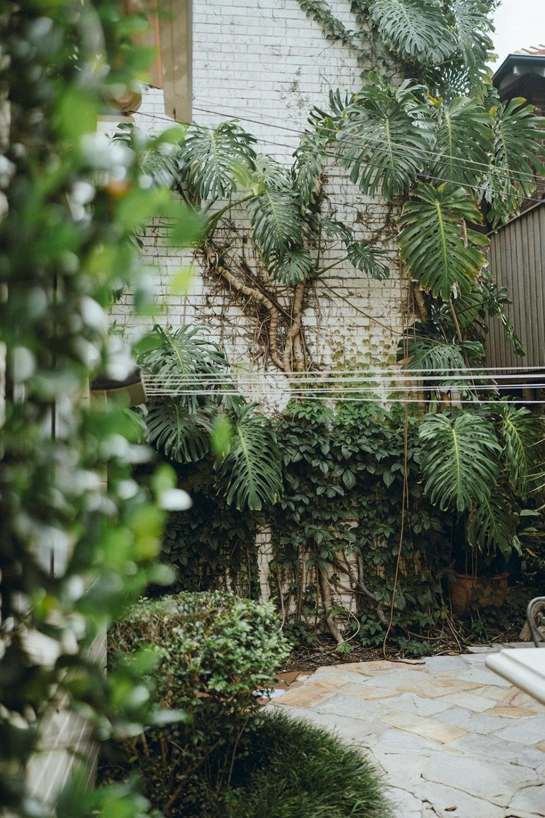 Leafy Oasis Steps To Ferry & Harbour Apartment *